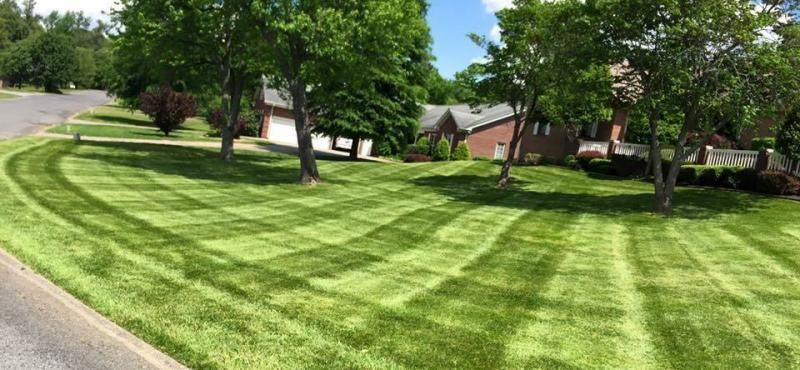 A lush green lawn with crisp, alternating light and dark mowing stripes, featuring several mature trees and a house.