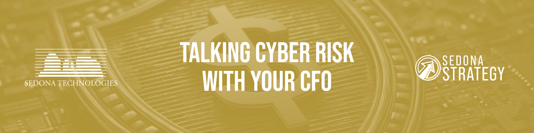 Gold banner reading “Talking Cyber Risk with Your CFO,” with white logos on left and right.