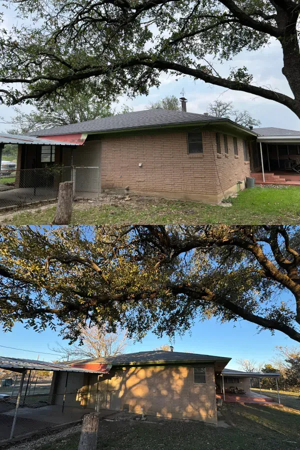 A before and after picture of a house with a tree in front of it.