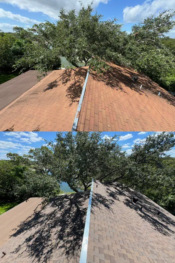 A before and after picture of a roof with a tree on it.
