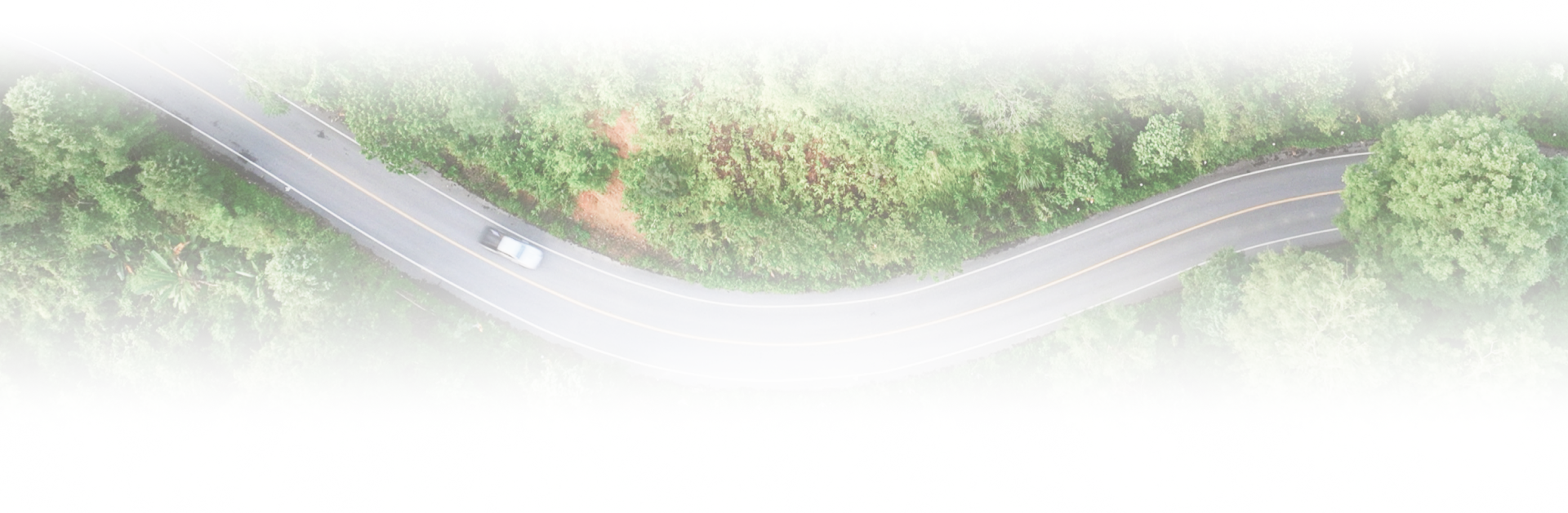 Top view of white car driving on road surrounded by trees | Roe Jan Auto Center LLC