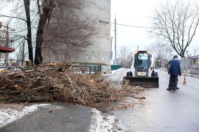 lot clearing
