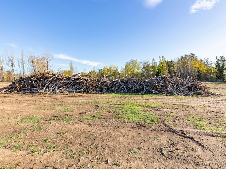 land tree services