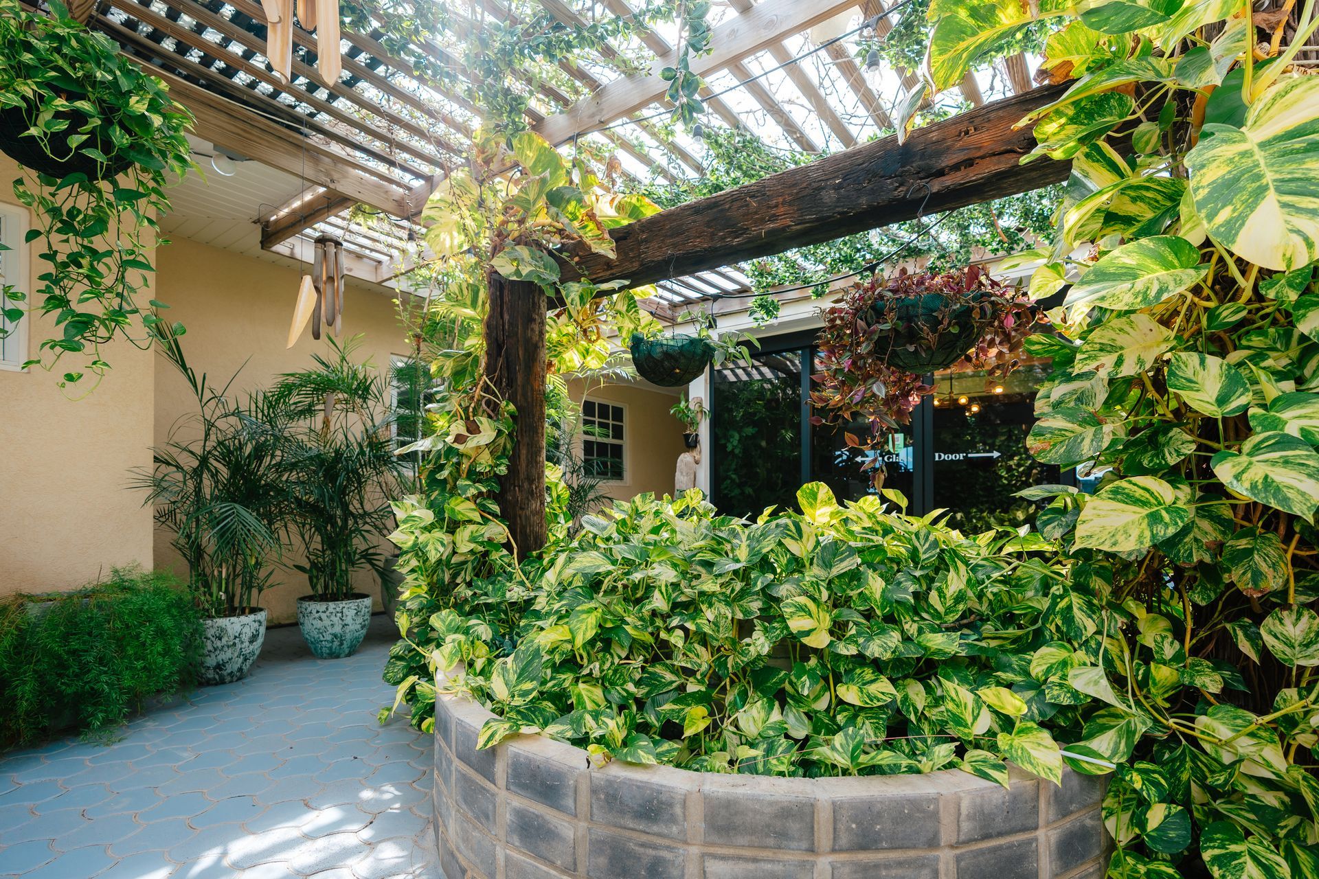 Lush courtyard garden with vines, potted plants, and a pergola casting striped sunlight on a patio