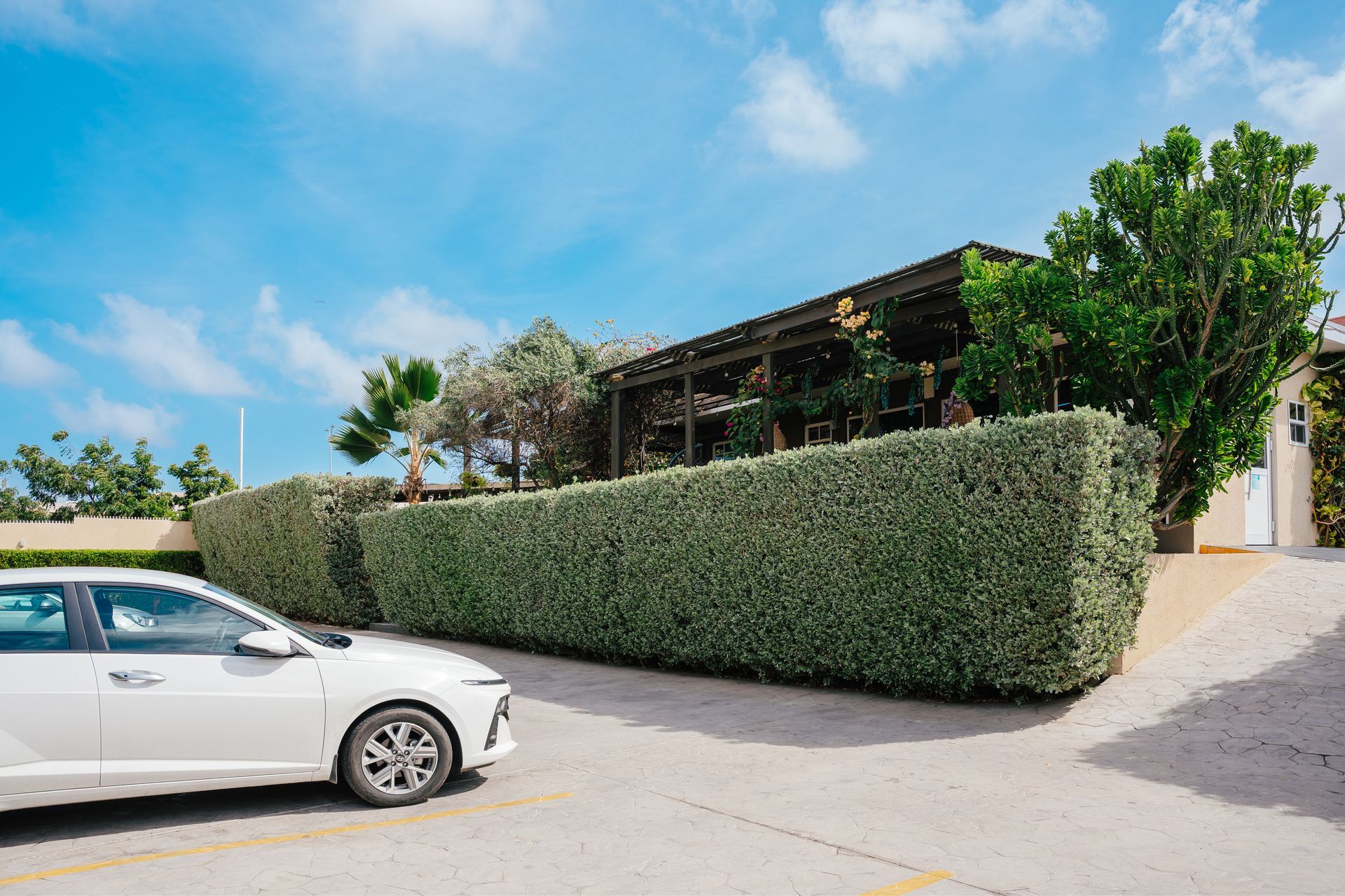 White car parked beside a tall hedge and low building on a sunny day, with a blue sky overhead