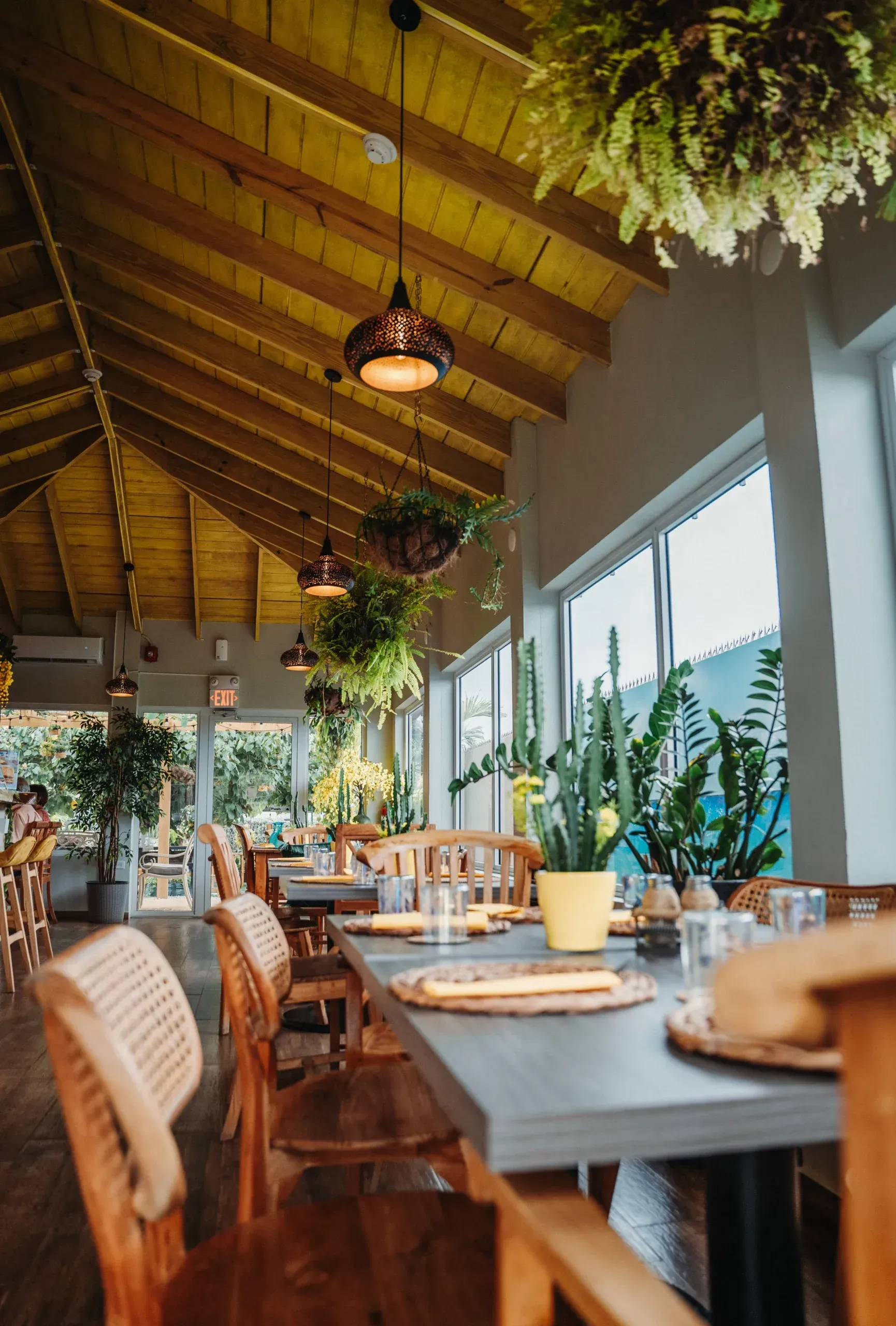 A restaurant with tables and chairs and plants hanging from the ceiling.