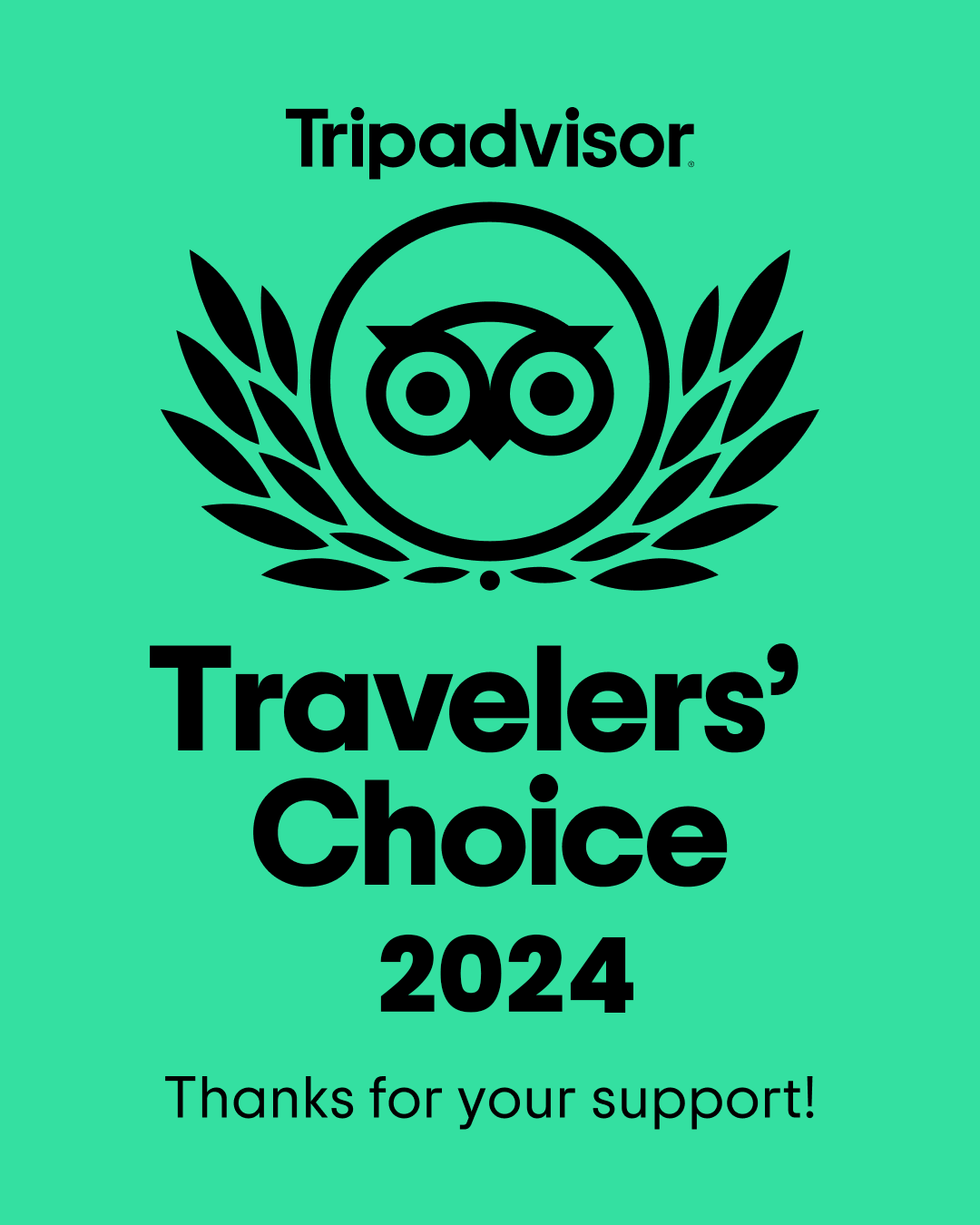 A tripadvisor traveler 's choice 2024 logo on a green background.