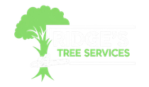 Green tree logo for Ridge's Tree Services. White text and tree outline on a white background.