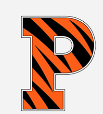 A letter p with a tiger print on it