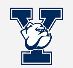 A blue letter y with a bulldog head on it.