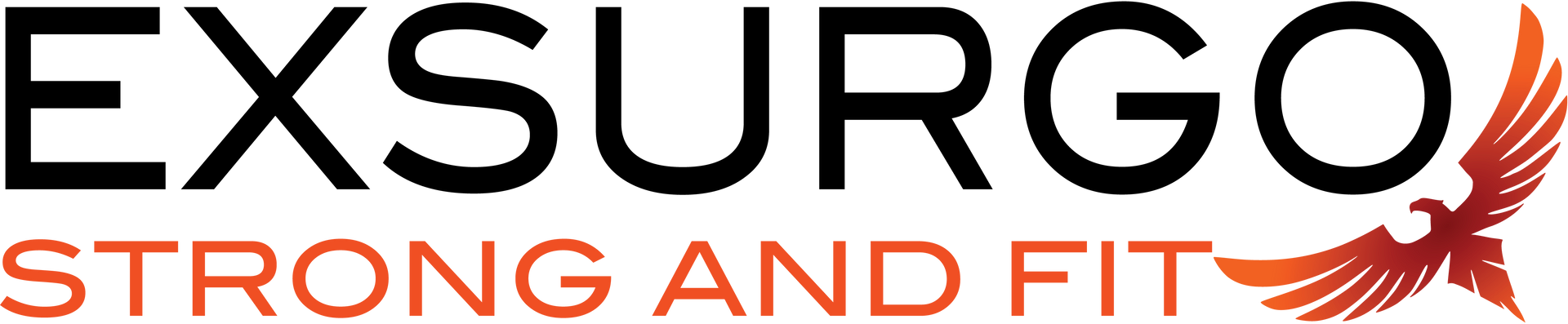 Team Sponsor 3