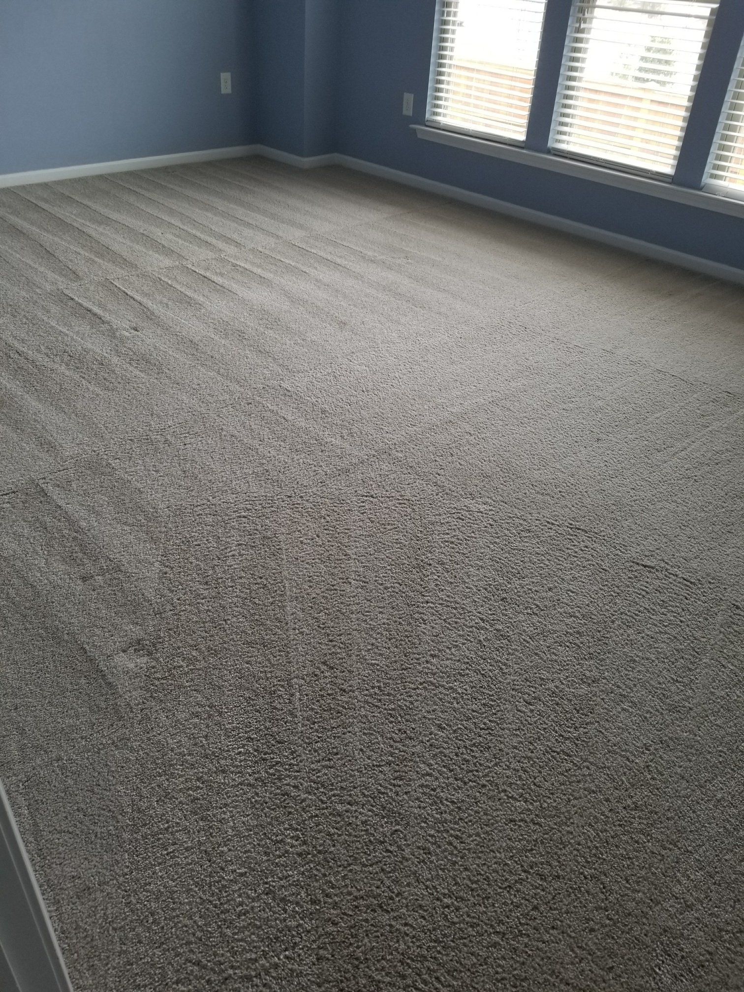 About Spotless Clean and Carpet Care