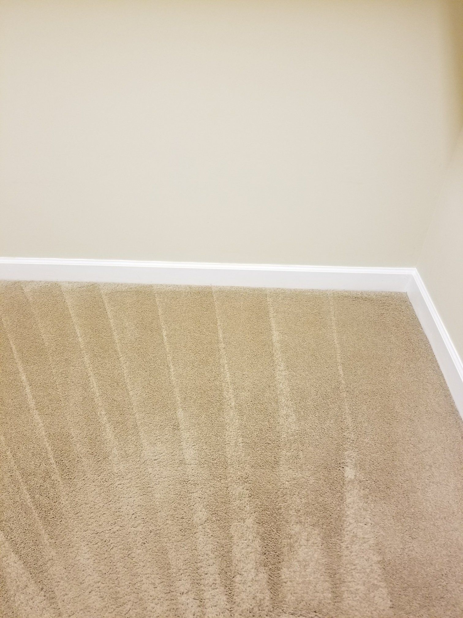 Carpet Cleaning near Durham, NC
Carpet Cleaning Chapel Hill
Carpet Cleaning near Wake Forest, NC
Carpet Cleaners in Raleigh, NC