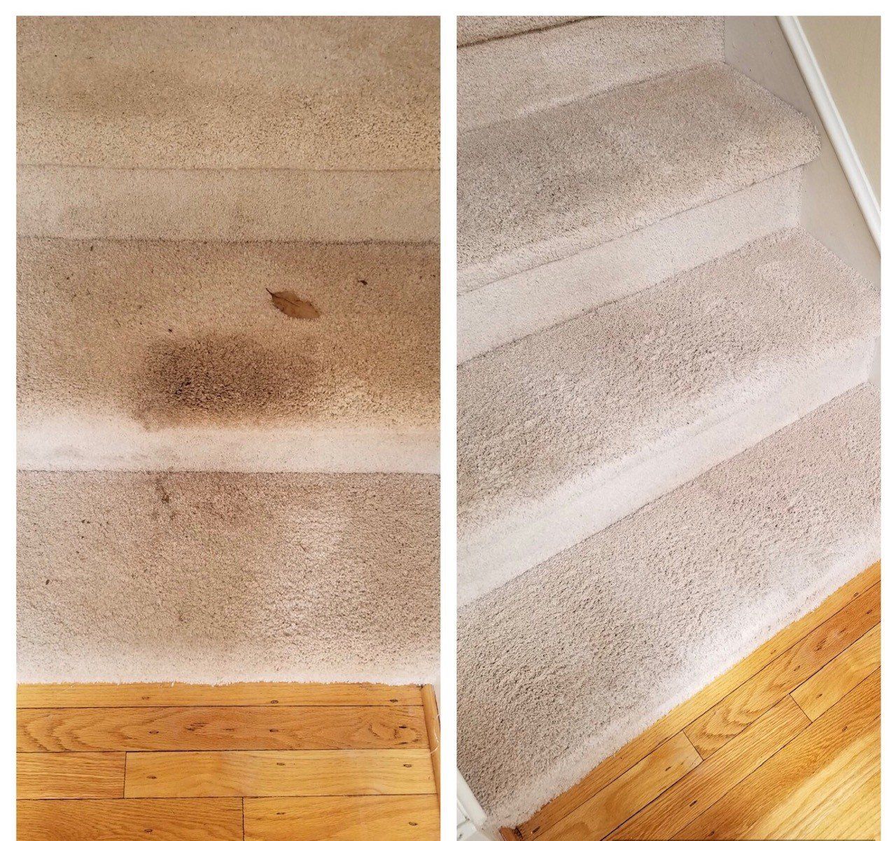 Professional Stairs Carpet Cleaning, Durham NC