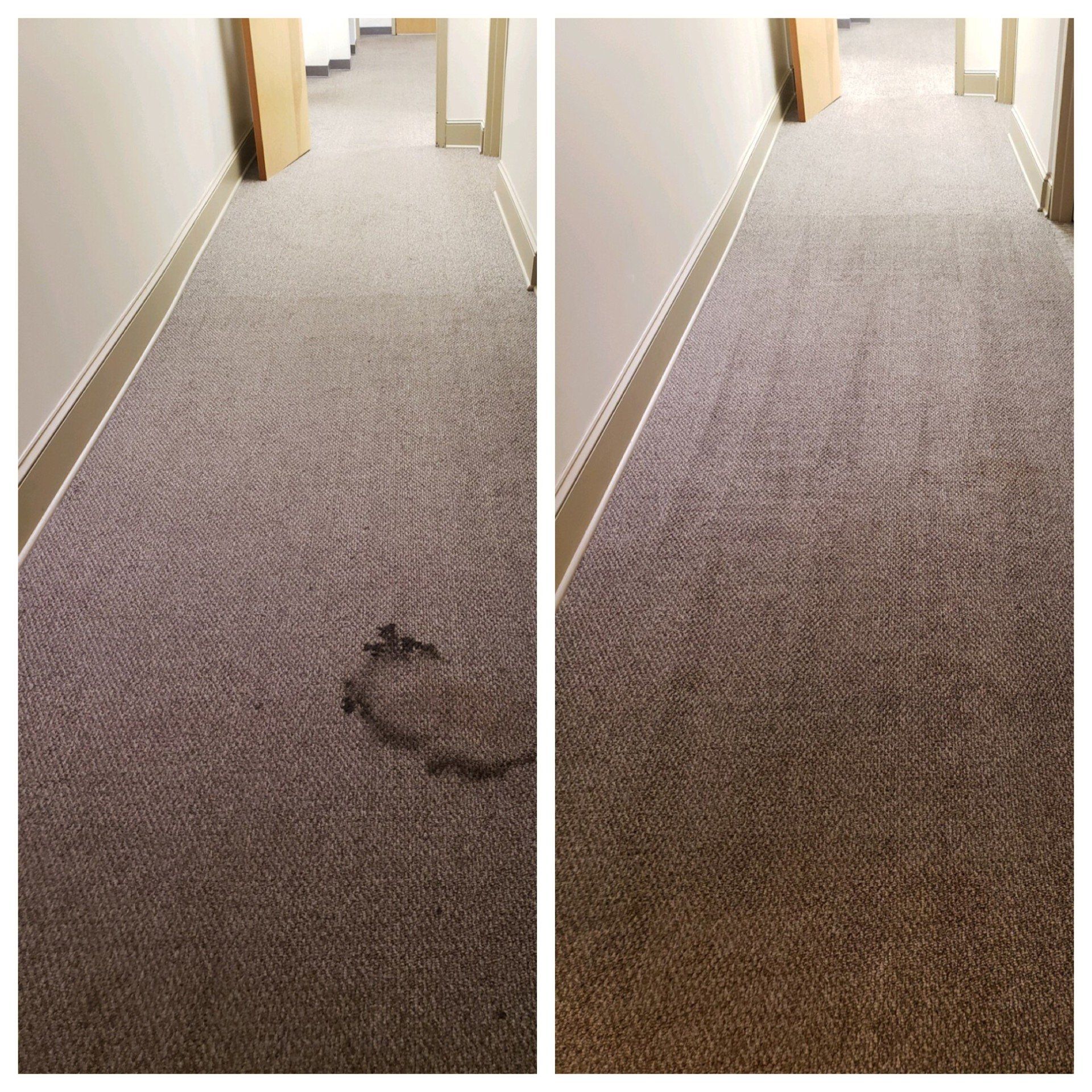 Office carpet cleaning coffee stain Raleigh, Durham, Chapel Hill