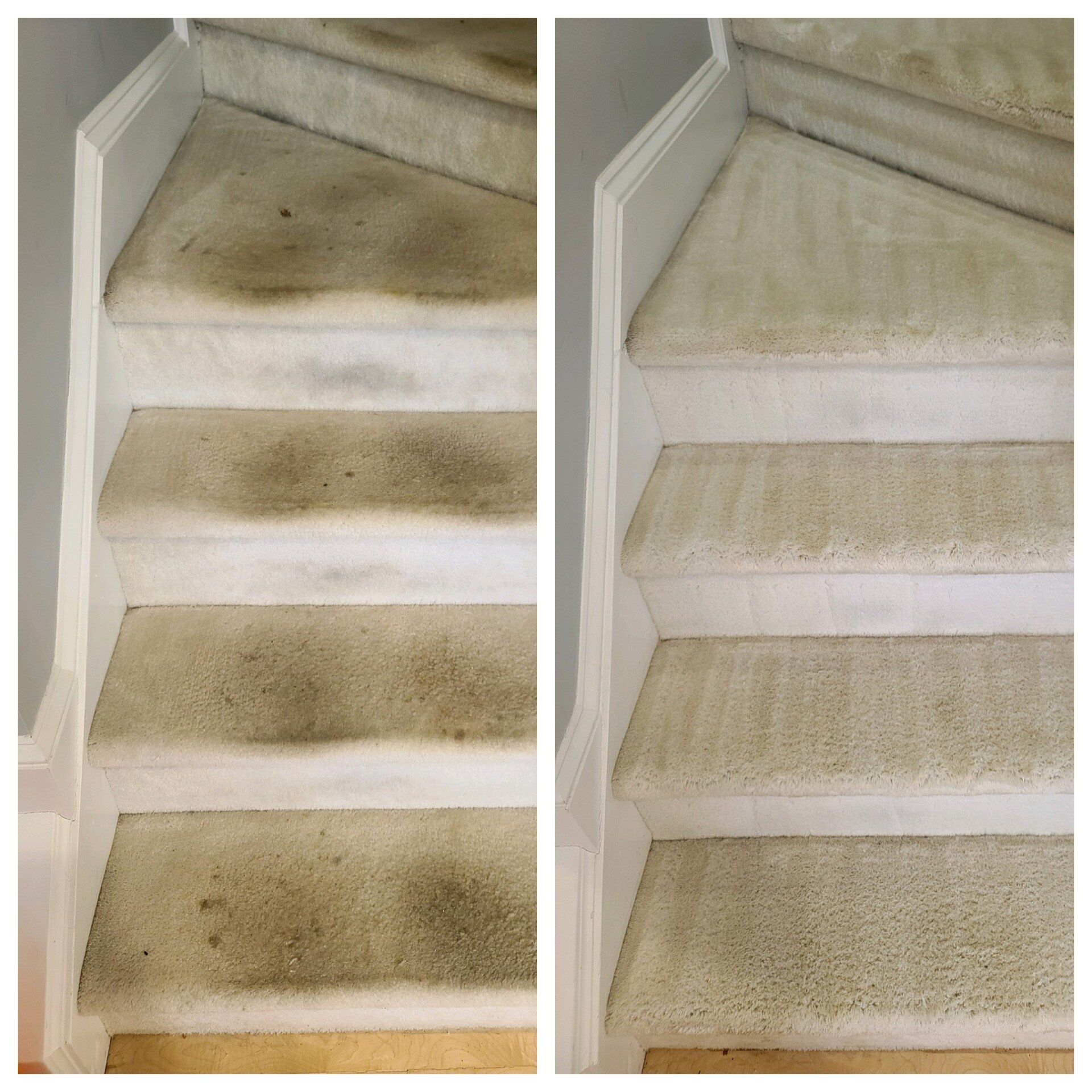 High traffic area carpet cleaning Durham, Raleigh, Wake Forest, Chapel Hill, Apex, Cary