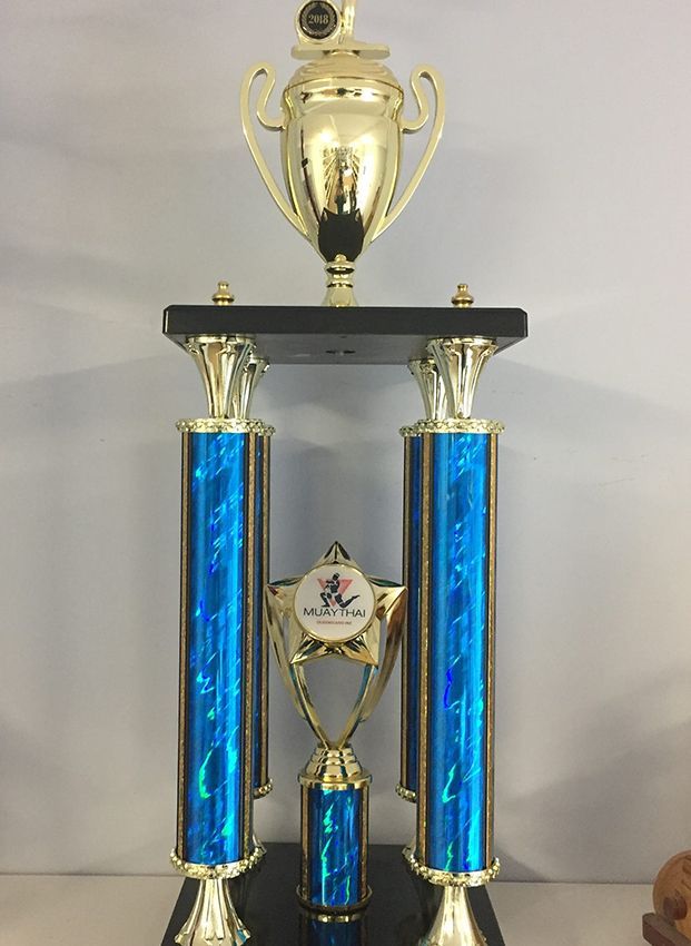 A Trophy with Two Blue Columns — Ace Wholesale Trophies & Engraving In Airlie Beach, QLD