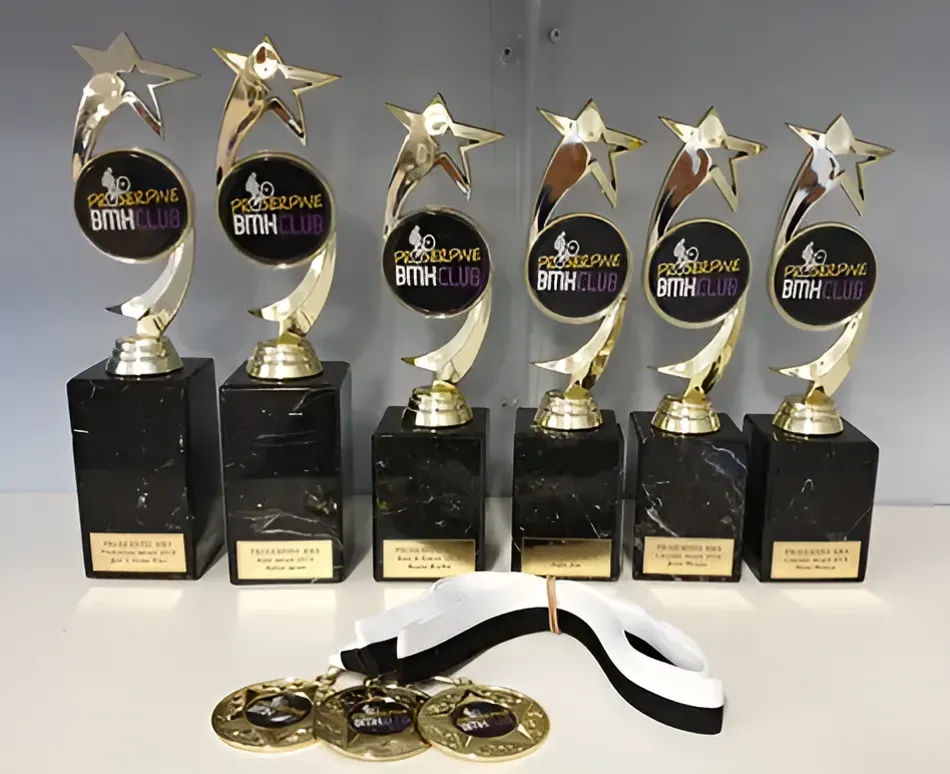 Several Trophies and Medals Are Lined Up on a Table — Ace Wholesale Trophies & Engraving In Bowen, QLD