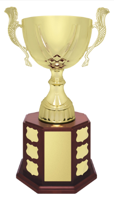 A Poster of Trophies — Ace Wholesale Trophies & Engraving In Airlie Beach, QLD