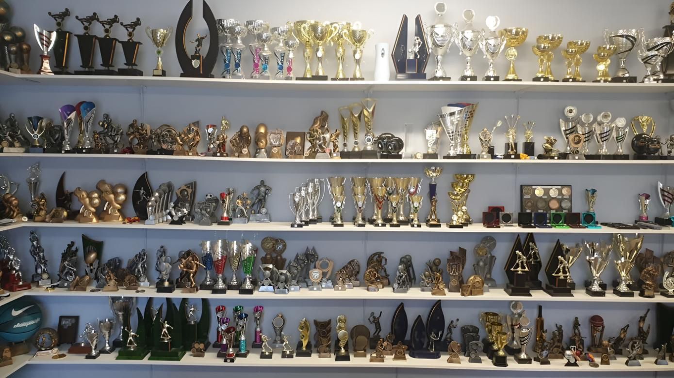 A Shelf Filled With Lots Of Trophies And Figurines — Ace Wholesale Trophies & Engraving In Bakers Creek, QLD