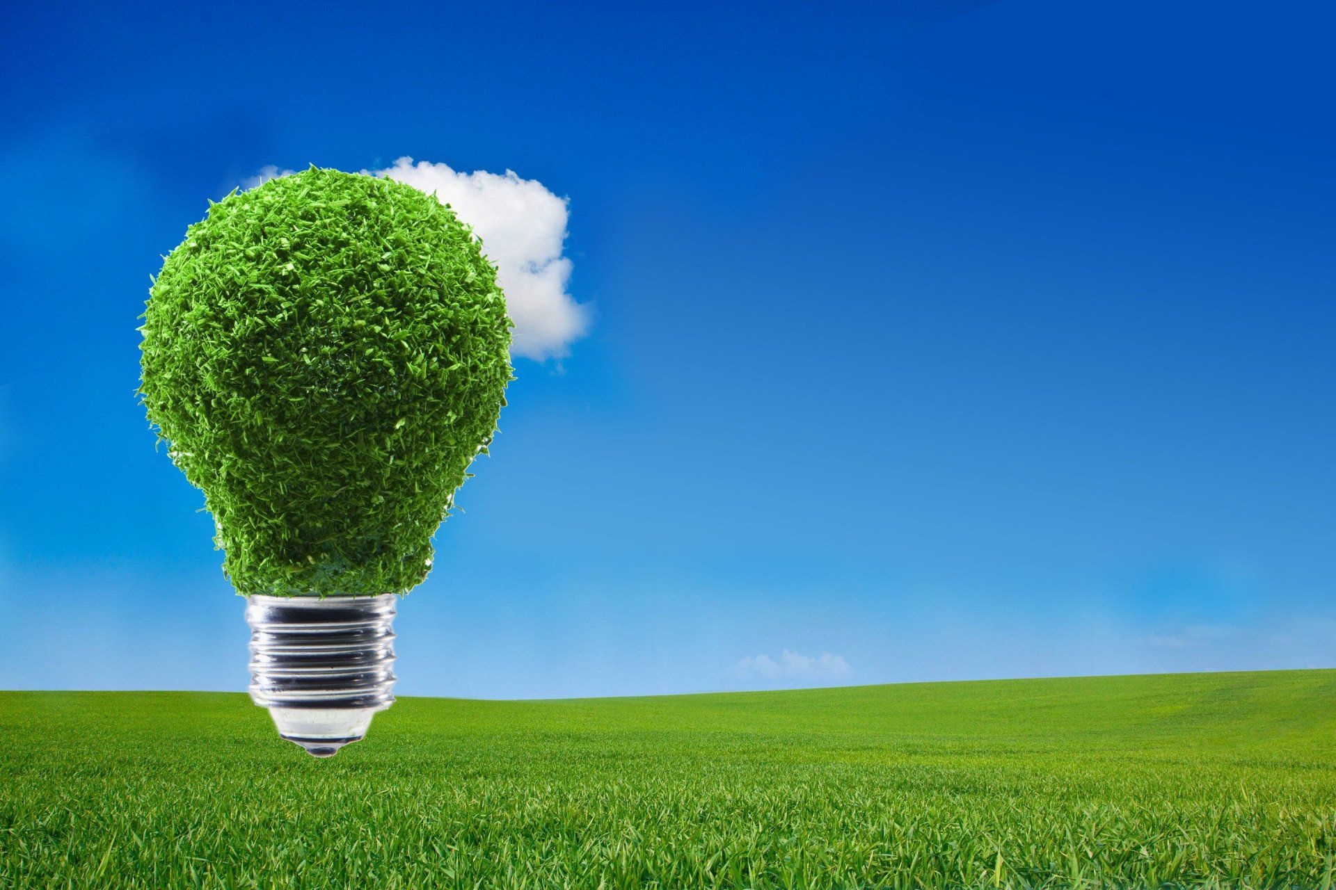 Renewable electricity company f s energy