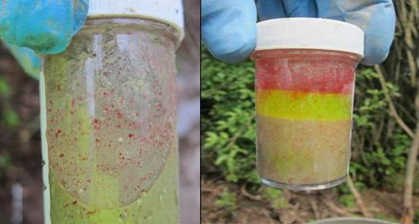 samples in a bottle
