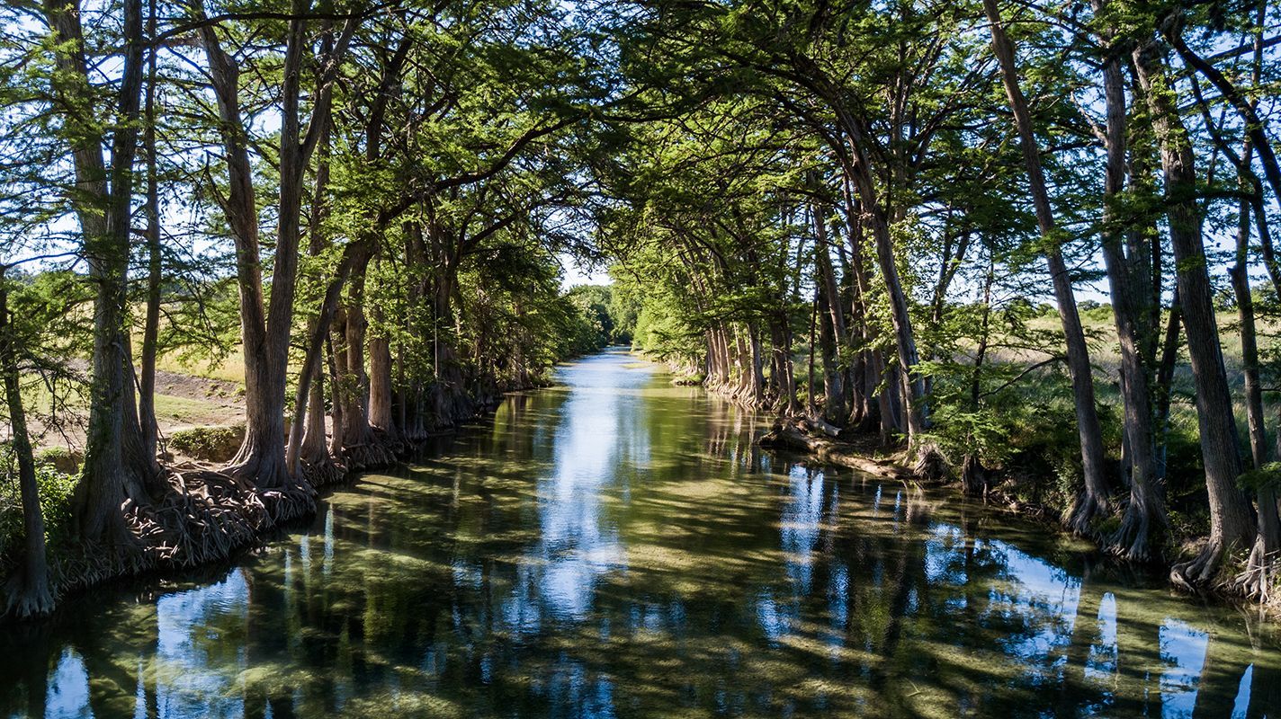 An aerial view of a river surrounded by trees on a sunny day.