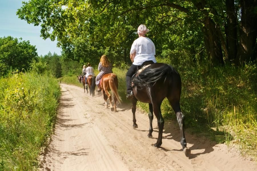 A group of people are riding horses down a dirt road.