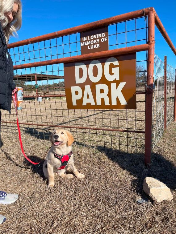 A puppy is sitting in front of a dog park sign.