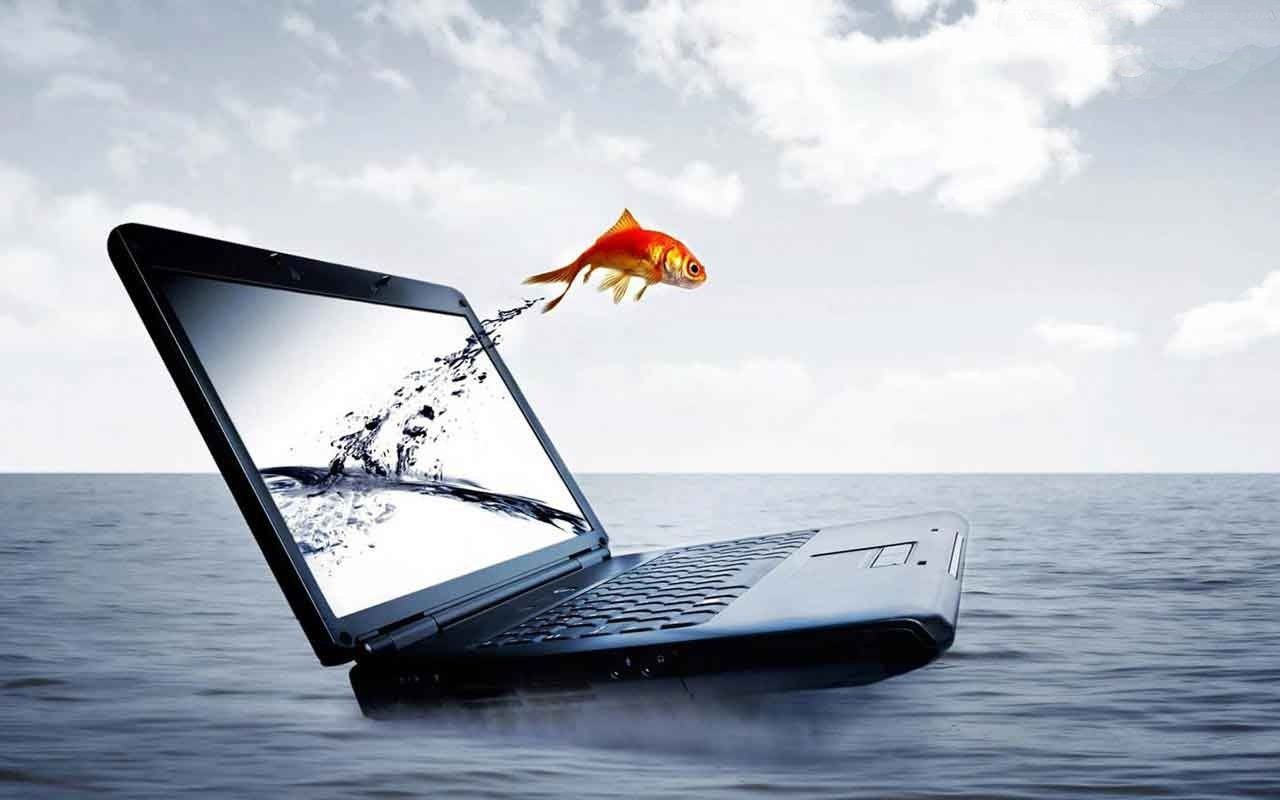 Realizzazione SITI WEB