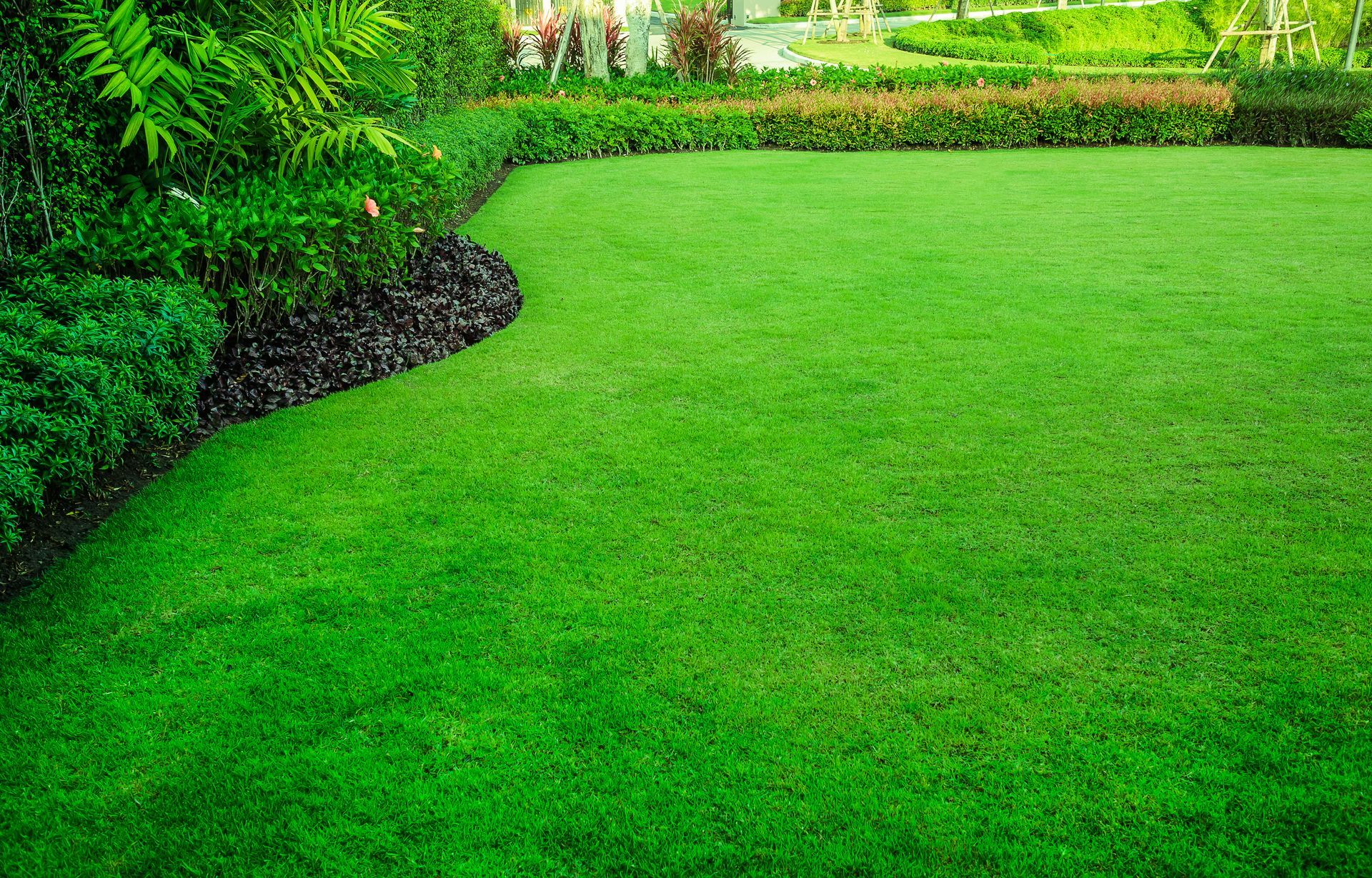 Vibrant decorative garden with a lush green lawn, perfect as a serene background for any setting.