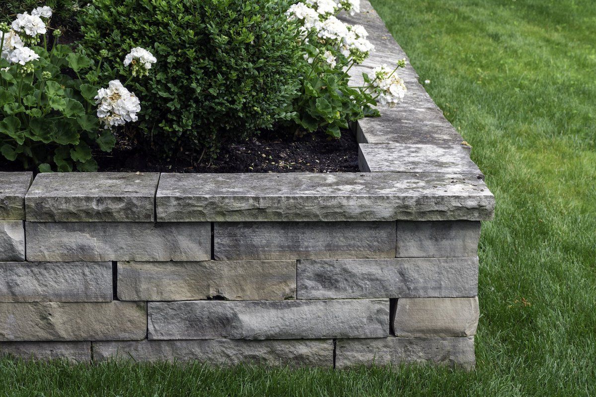 Beautiful natural stone retaining wall, surrounding a raised planter bed filled with elegant white roses in full bloom.