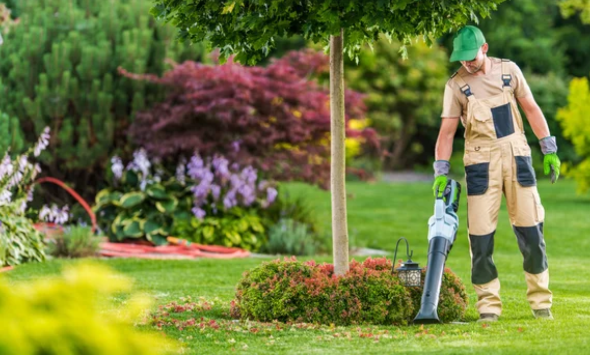 Man using a leaf blower to clean up leaves and debris in a backyard garden.