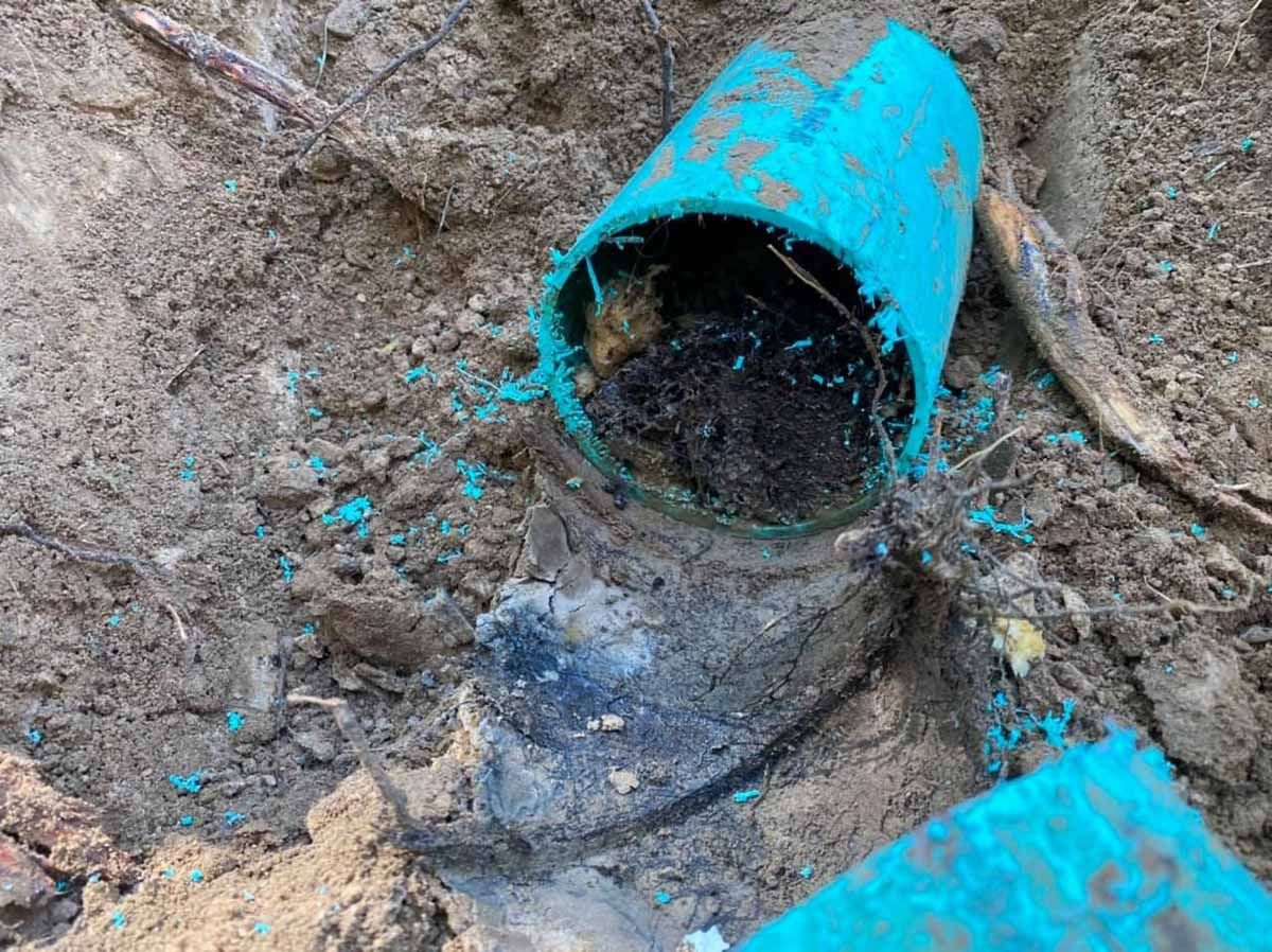A blue pipe is laying in the dirt on the ground.