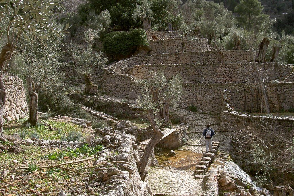 Un muro de piedra rodea un exuberante bosque verde.