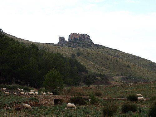 Un rebaño de ovejas pastando en un campo con una montaña al fondo