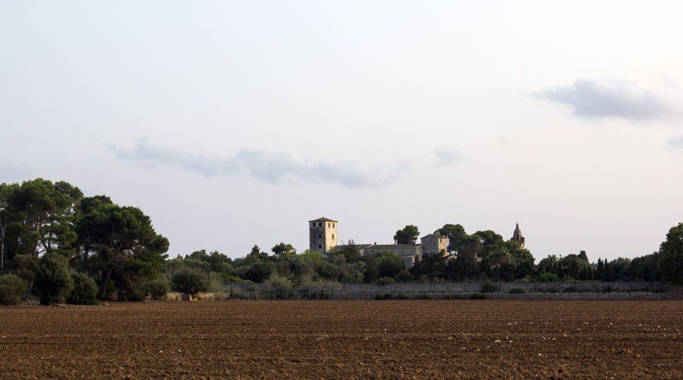 Un campo con un castillo al fondo y árboles en primer plano.