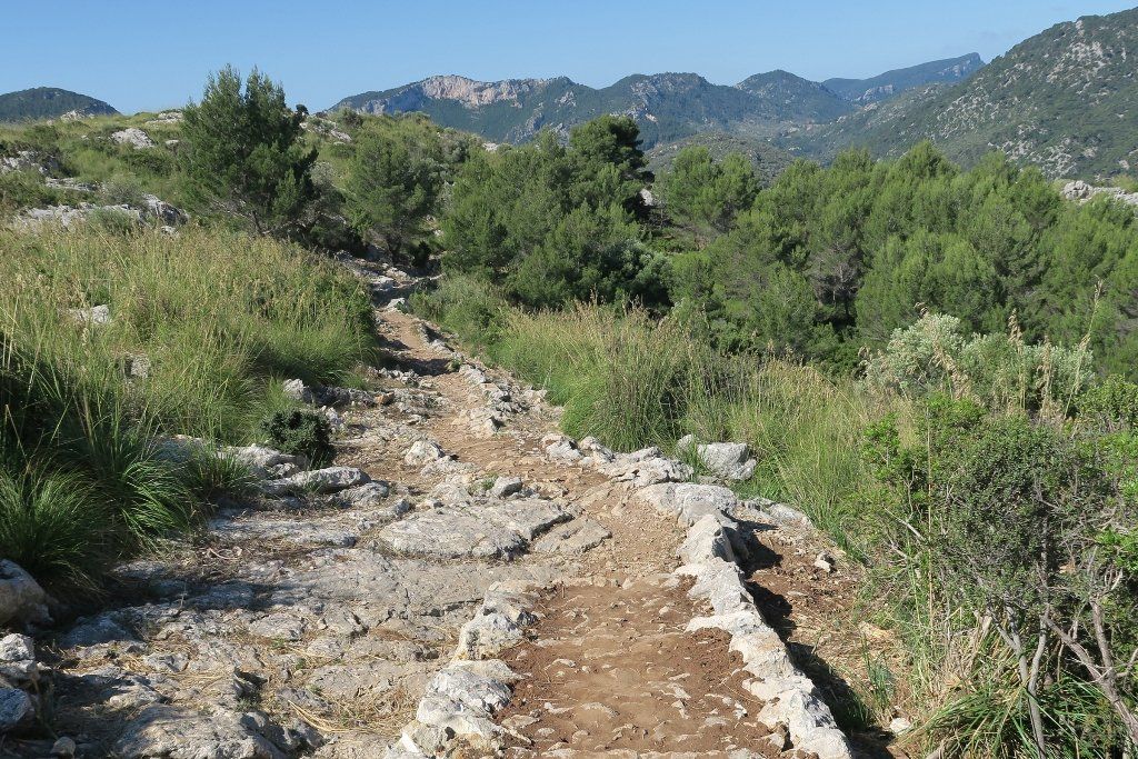 Un camino de tierra en medio de un campo con montañas al fondo.
