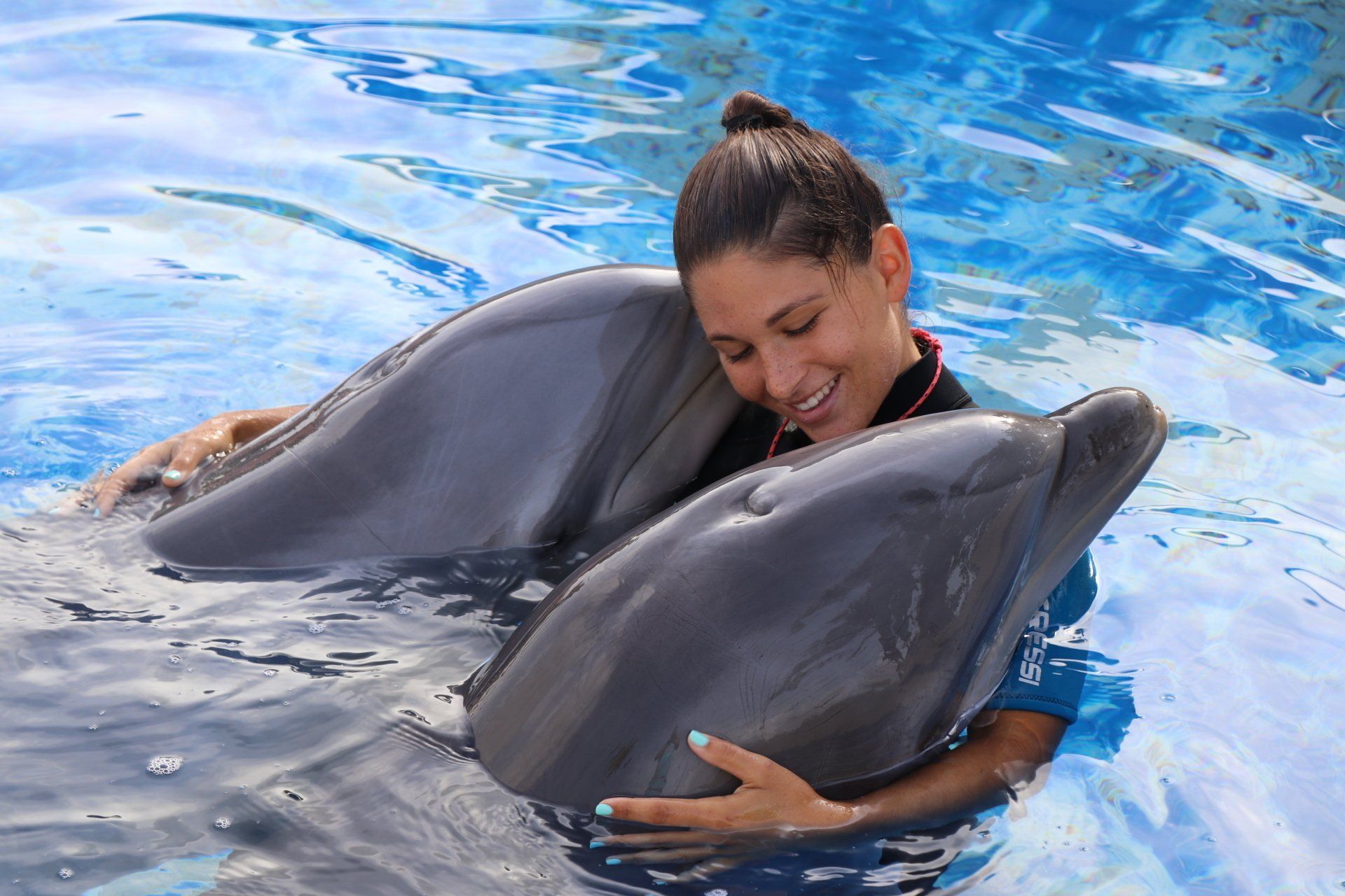 Una mujer está abrazando a un delfín en el agua.