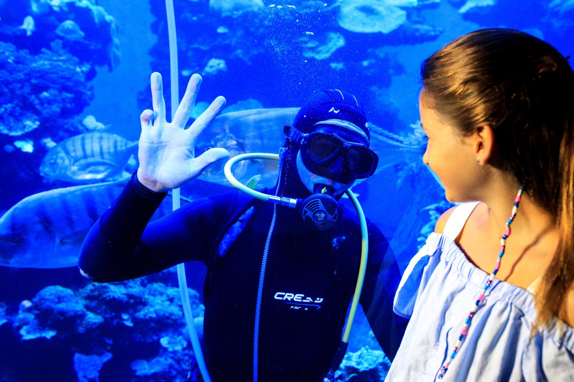 Una niña está mirando a un buceador en un acuario.