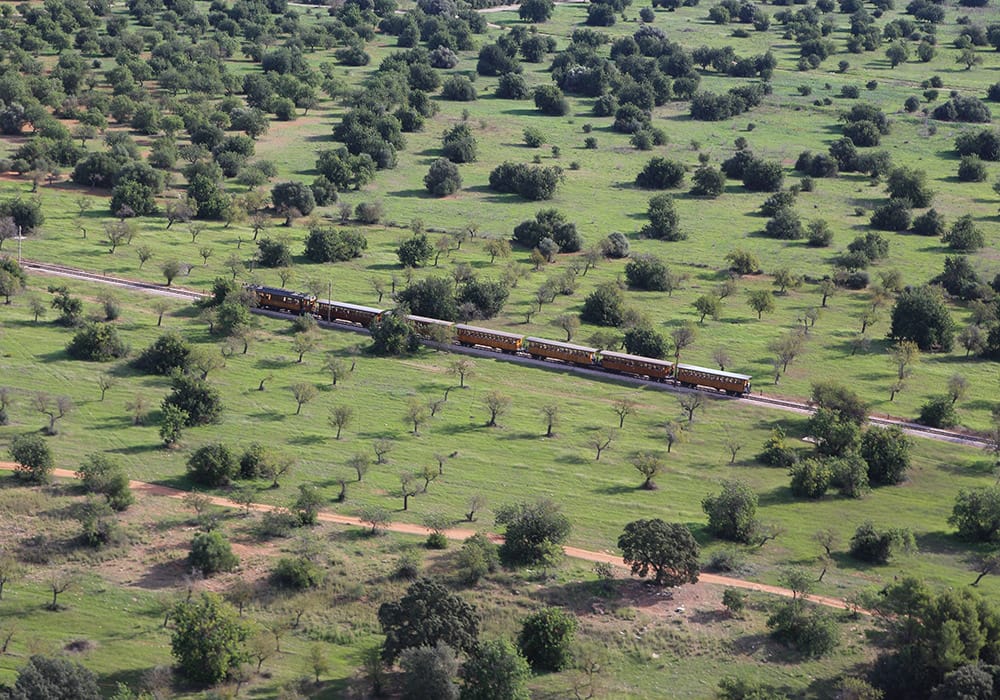 Una vista aérea de un tren que pasa por un exuberante campo verde.