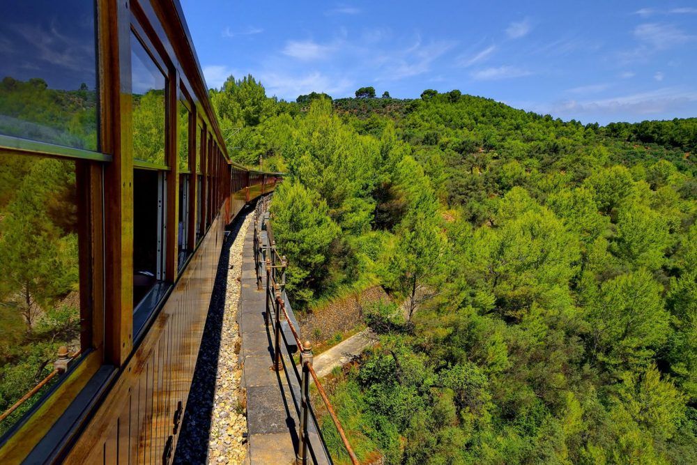 Un tren pasa por un bosque por un puente.