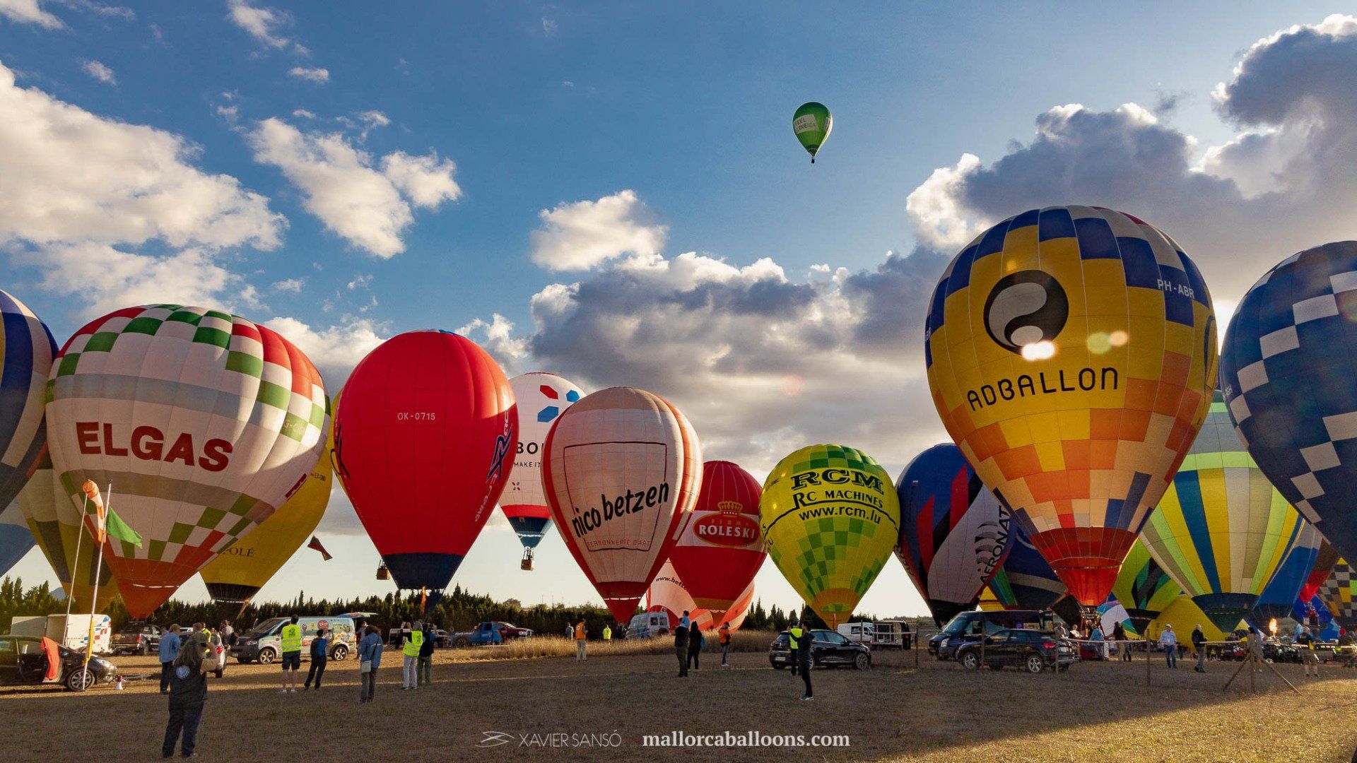 Un grupo de globos aerostáticos están alineados en un campo.