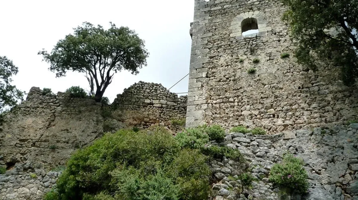 Un muro de piedra con un árbol en primer plano y una torre al fondo.