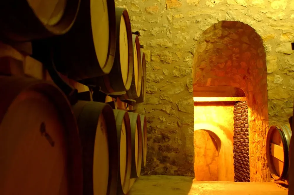 Una fila de barriles de vino apilados uno encima del otro en una bodega.