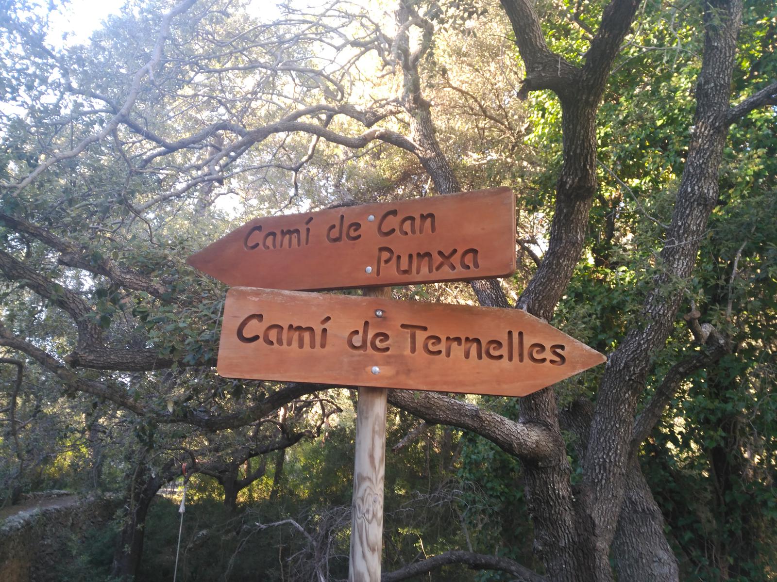 A wooden sign pointing to cami de can punxa and cami de ternelles