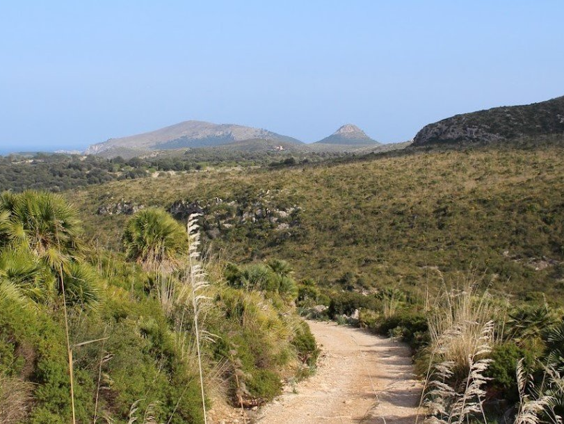 Un camino de tierra que atraviesa un exuberante campo verde con montañas al fondo.