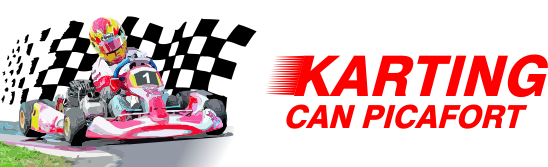 Un logotipo para karting puede ser Picafort con una persona conduciendo un kart.