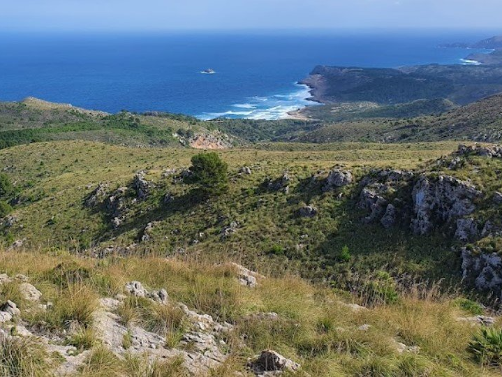 Una vista del océano desde la cima de una colina.