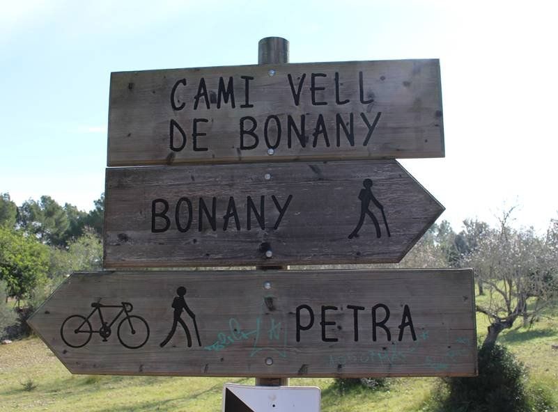 En wooden sign pointing to cami viejo de buen año buen año y petra